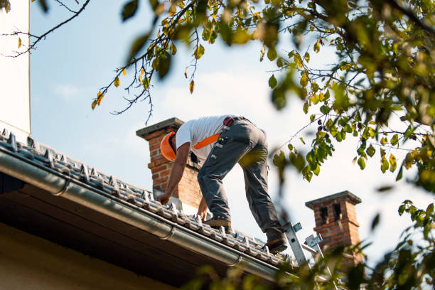 Roof Gutter Cleaning in Sterlington, LA